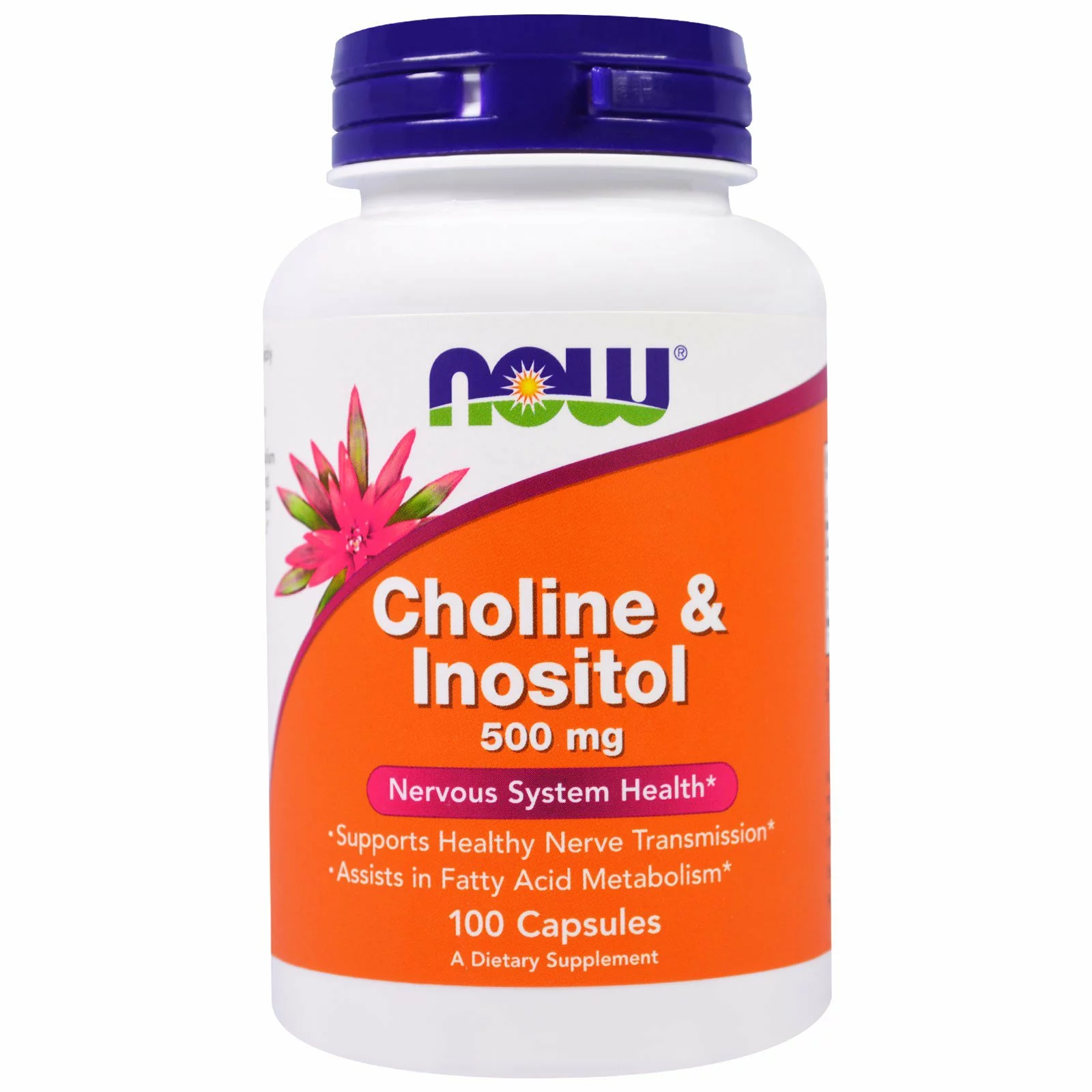 Now Foods Cholin & Inositol, 500 mg, 100 kapslí