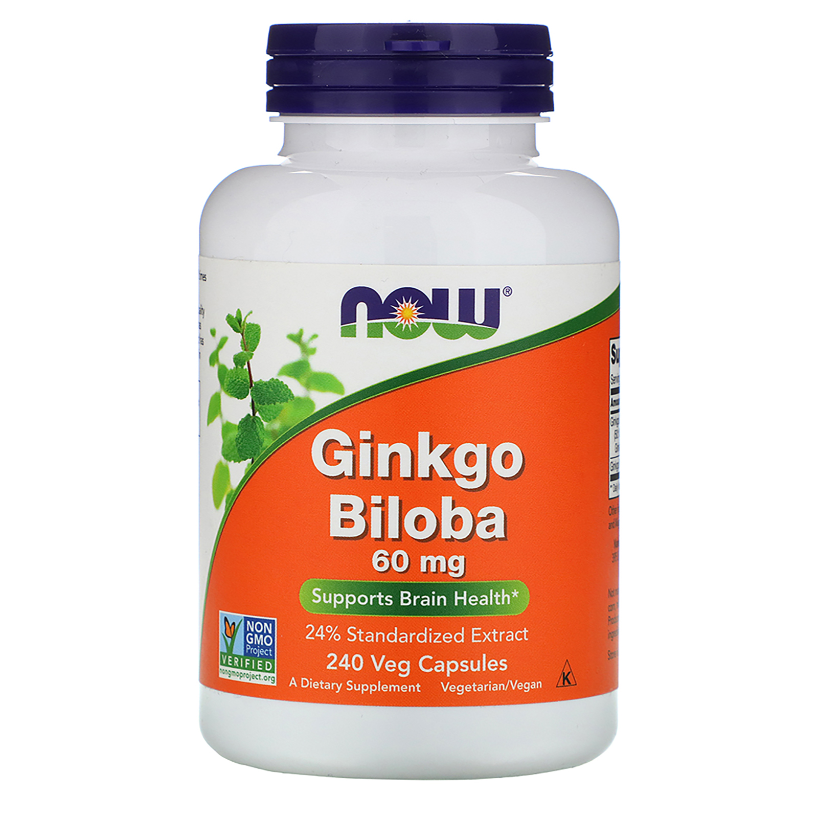 Now Foods Ginkgo biloba 60 mg extrakt + prášek, 240 kapslí