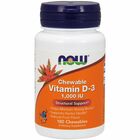 Now Foods Chewable Vitamin D3, 1000 IU, Natural Fruit flavour, 180 žvýkacích tablet