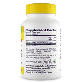 Healthy Origins Cognizin Citicoline 250 mg, 60 veg kapsli, složení