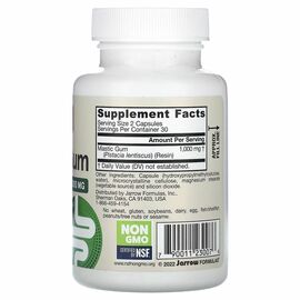 Jarrow Formulas, Mastic Gum (masticha), 500 mg, 60 rostlinných kapslí, složení