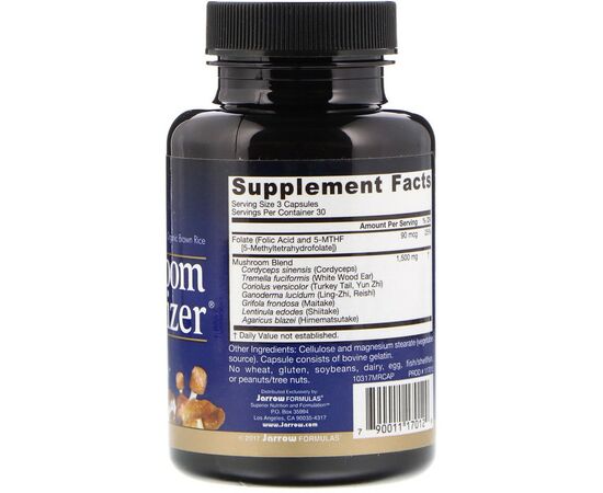 Jarrow Formulas, Mushroom Optimizer, 90 kapslí, složení