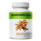 MycoMedica, Cordyceps CS-4 v optimální koncentraci, 90 kapslí